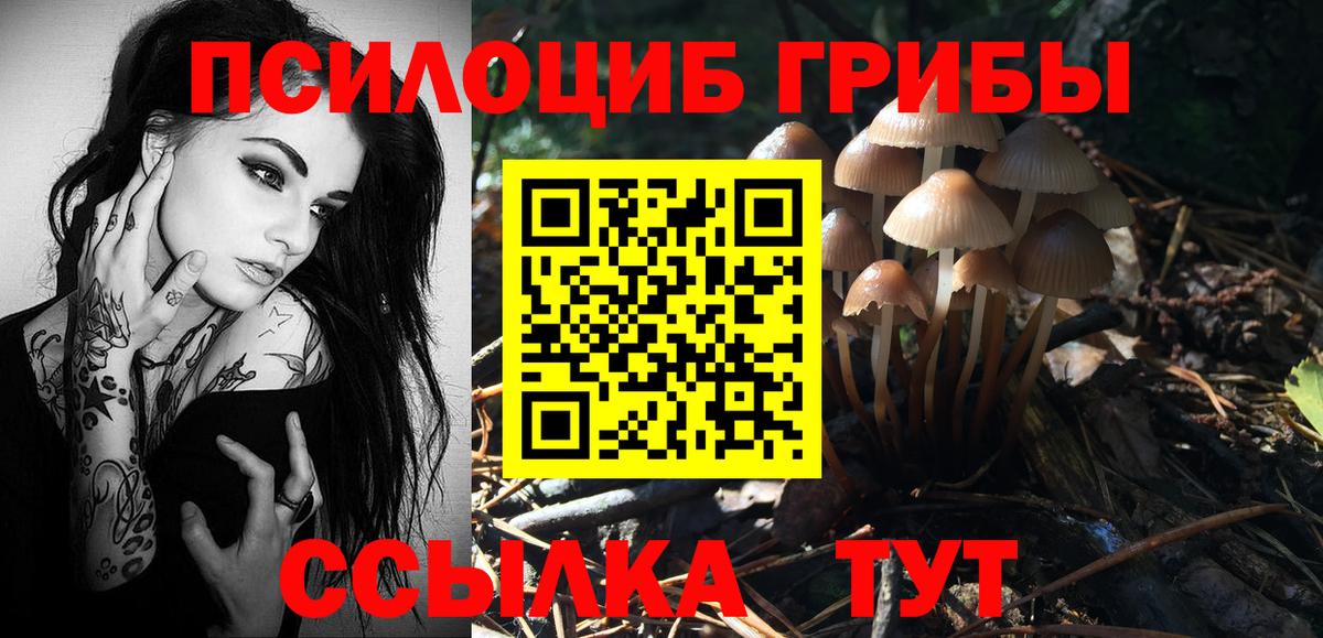 Лесной  Псилоцибиновые грибы ЛСД  Вход с VPN  Псилоцибиновые грибы GOLDEN TEACHER 